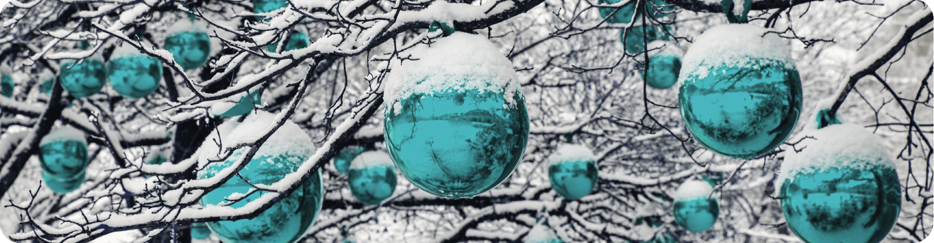 christmas baubles covered in snow hanging from a tree